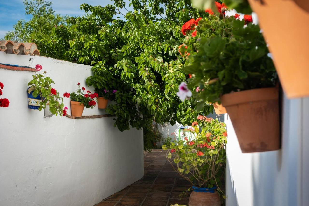 Turisticos Cabo Roche Apartament